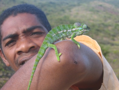 Man with Chameleon on Arm